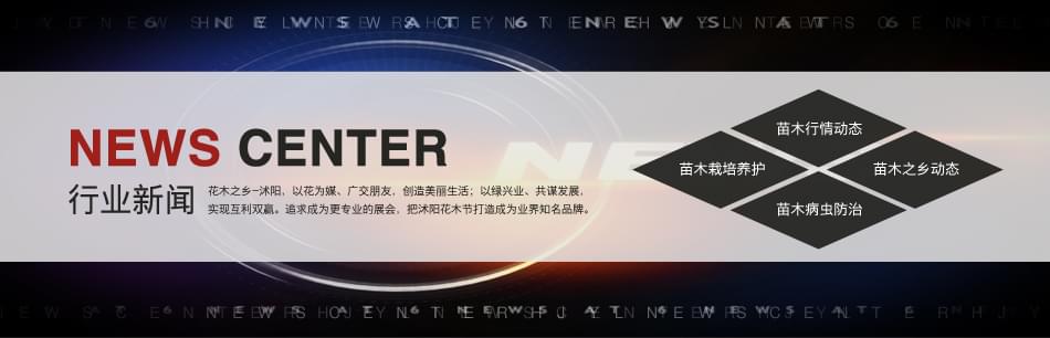 2016年第四届中国沭阳花木节现场火爆！火上了《新闻联播》！