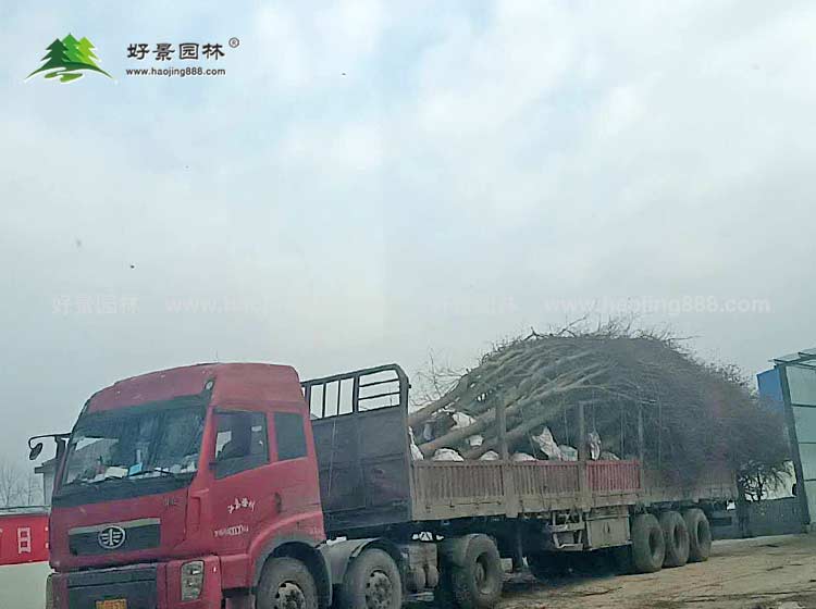 装车 装车