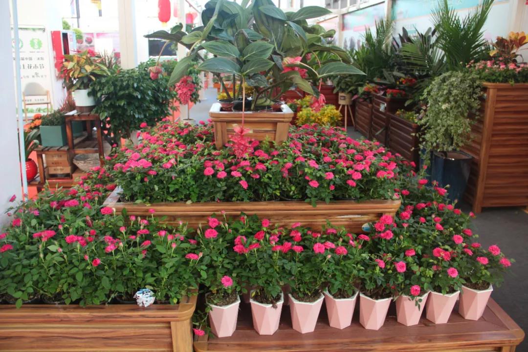 花木节