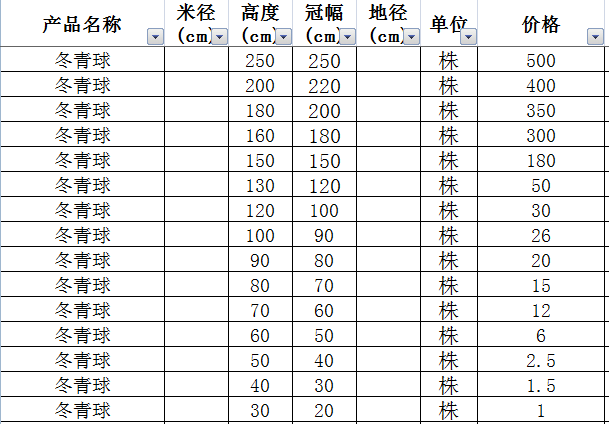 冬青球价格