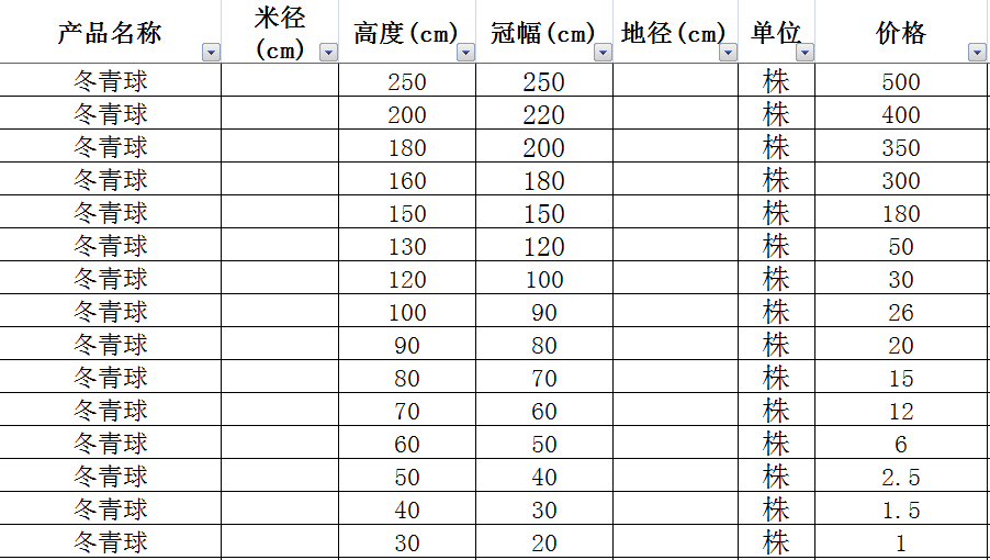 冬青球