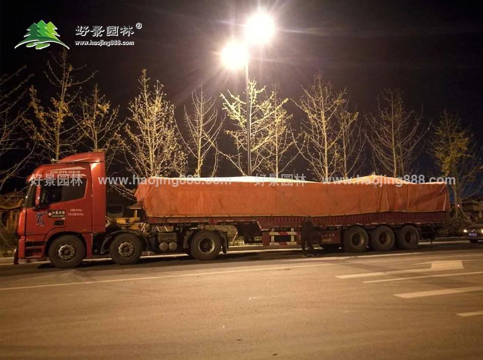 草坪装车 (1)