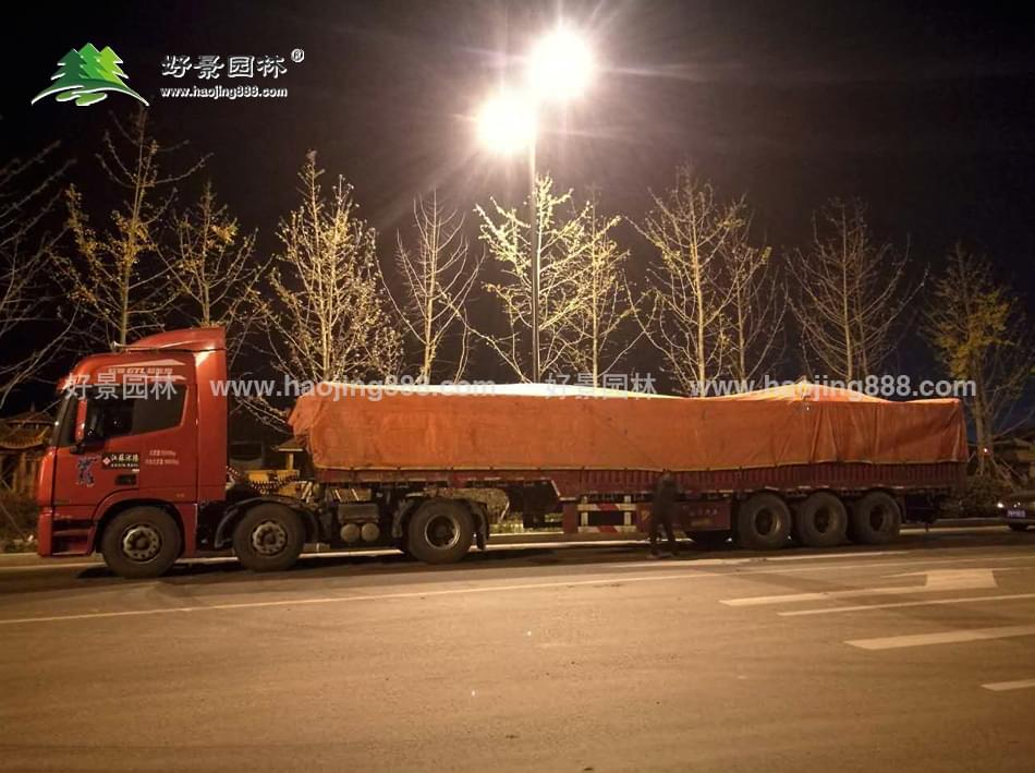草坪装车 (2)