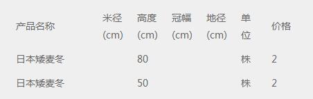 日本矮麦冬价格表