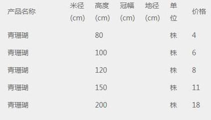 青珊瑚价格表