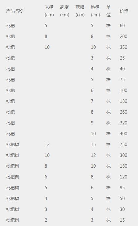 枇杷树价格表