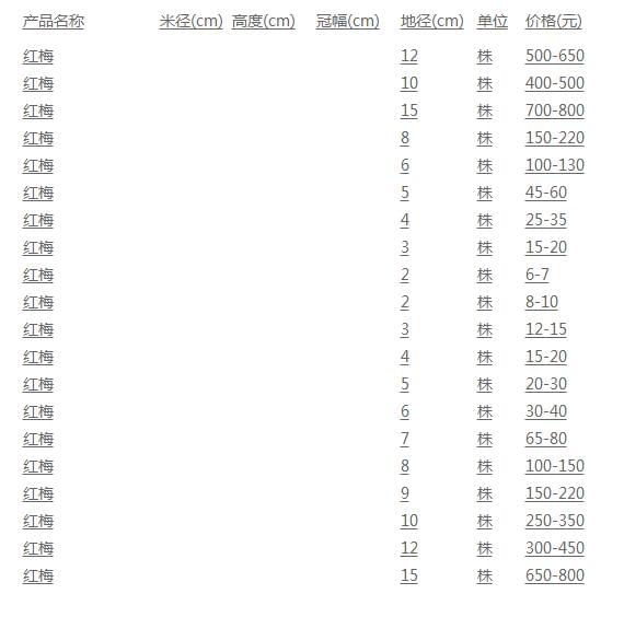 红梅价格表