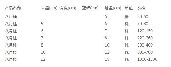 八月桂价格表