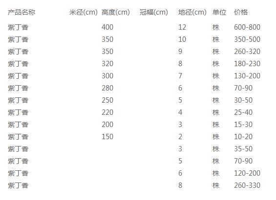 紫丁香价格表