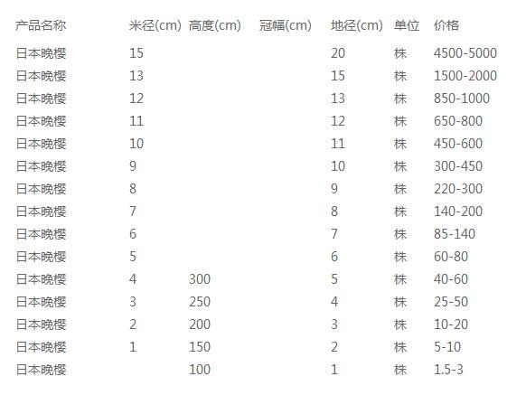 日本晚樱价格表