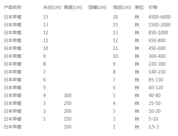 日本早樱价格表