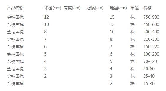 金枝国槐价格表