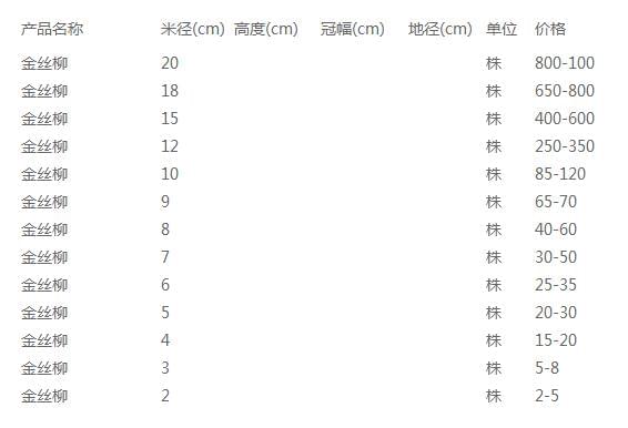 金丝柳价格表