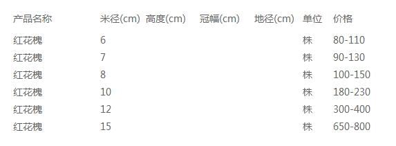 红花槐价格表