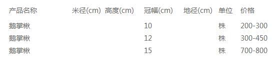 鹅掌楸价格表