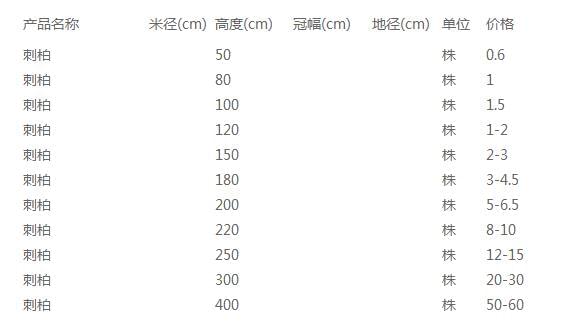 刺柏价格表