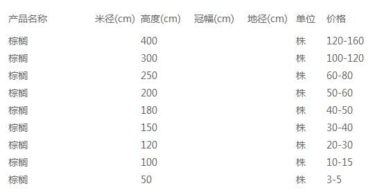 棕榈价格表