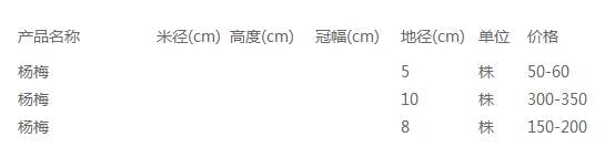 杨梅价格表