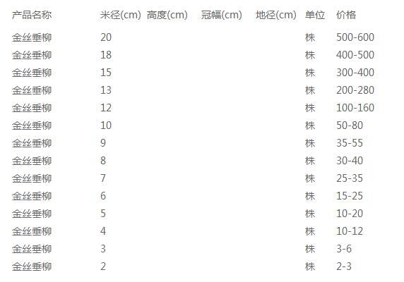 金丝垂柳价格表