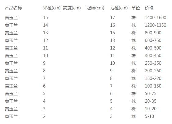 黄玉兰价格表