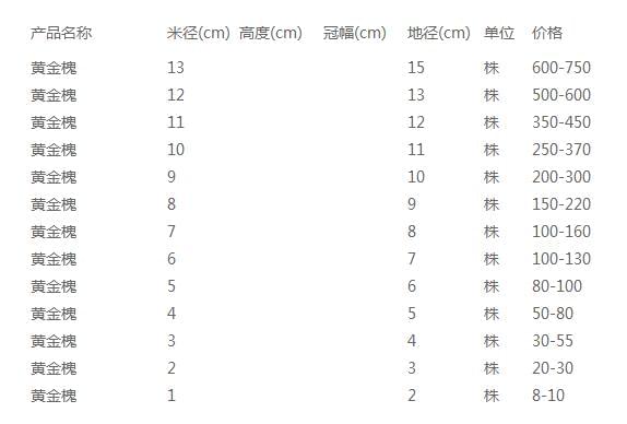 黄金槐价格表
