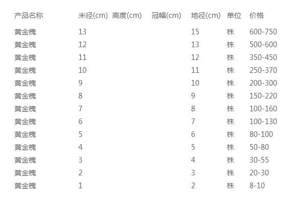 黄金槐价格表