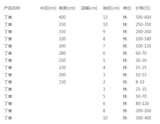 丁香价格表