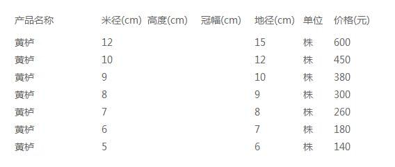 黄栌树价格表