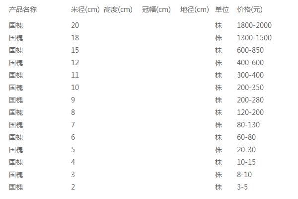 国槐价格表