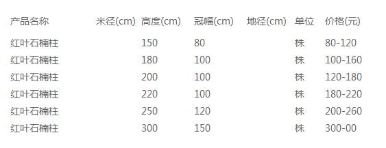 红叶石楠柱价格表