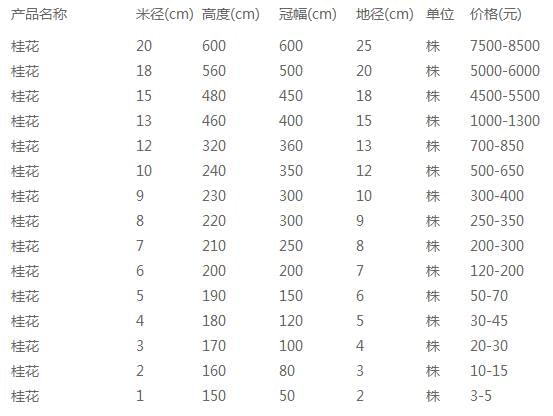 桂花价格表