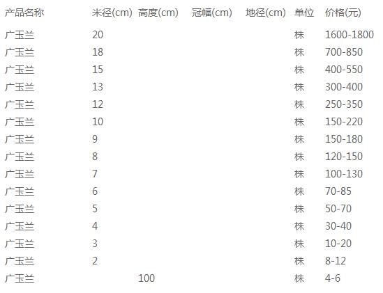 广玉兰价格表