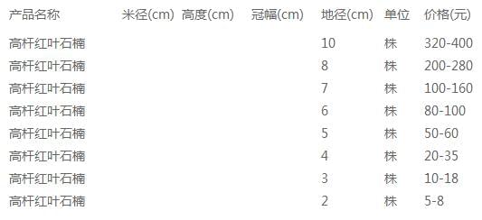 高杆红叶石楠