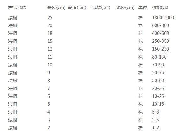 法桐价格表