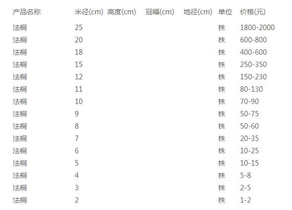 法桐价格表