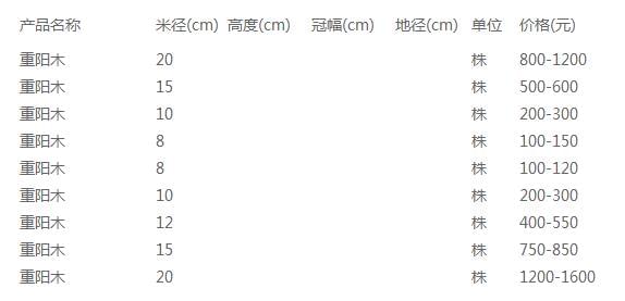 重阳木价格