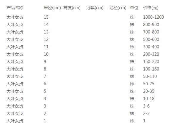 大叶女贞价格表