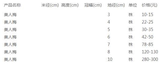 美人梅价格表