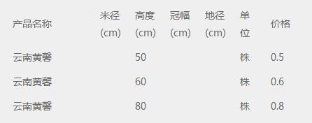 云南黄馨价格表