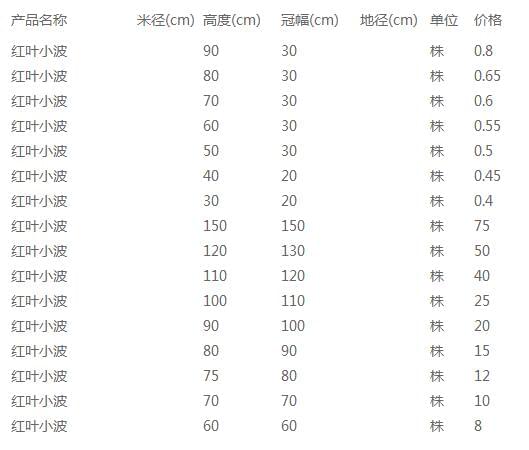 红叶小波价格表