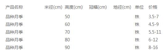 品种月季价格表