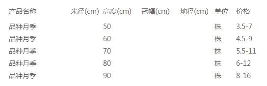 品种月季价格表