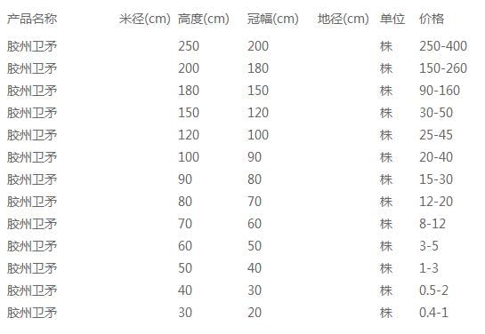 胶州卫矛价格表