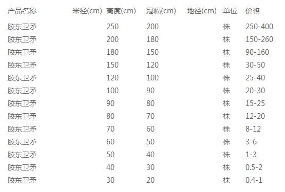胶东卫矛价格