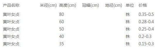 黄叶女贞价格表