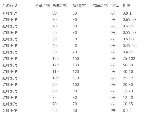 红叶小檗价格表