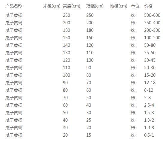 瓜子黄杨价格表