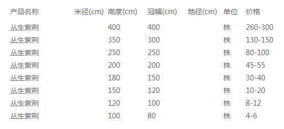 丛生紫荆