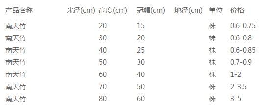 南天竹价格