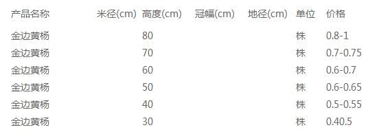 金边黄杨价格表